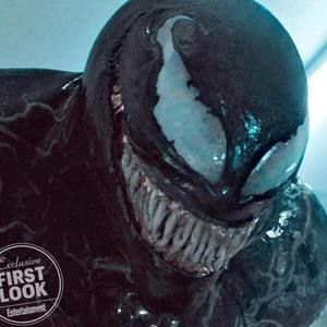 Meet your Posher, Joe